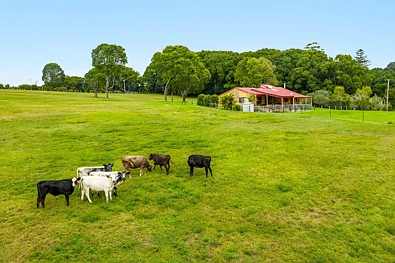 64 Weis Lane, Rous, NSW 2477, 4 slaapkamers, 2 badkamers, Lifestyle Section