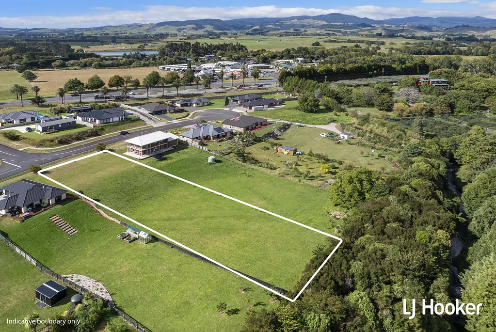 Waihi Your Dream Starts Here!