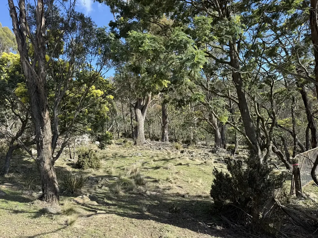 Interlaken Private 42.4 Hectare Bush Retreat with Future Timber Upside