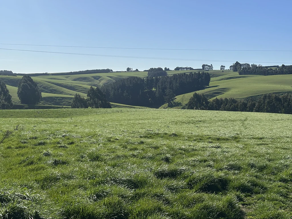 Balclutha  Strong Returning Dairy Unit