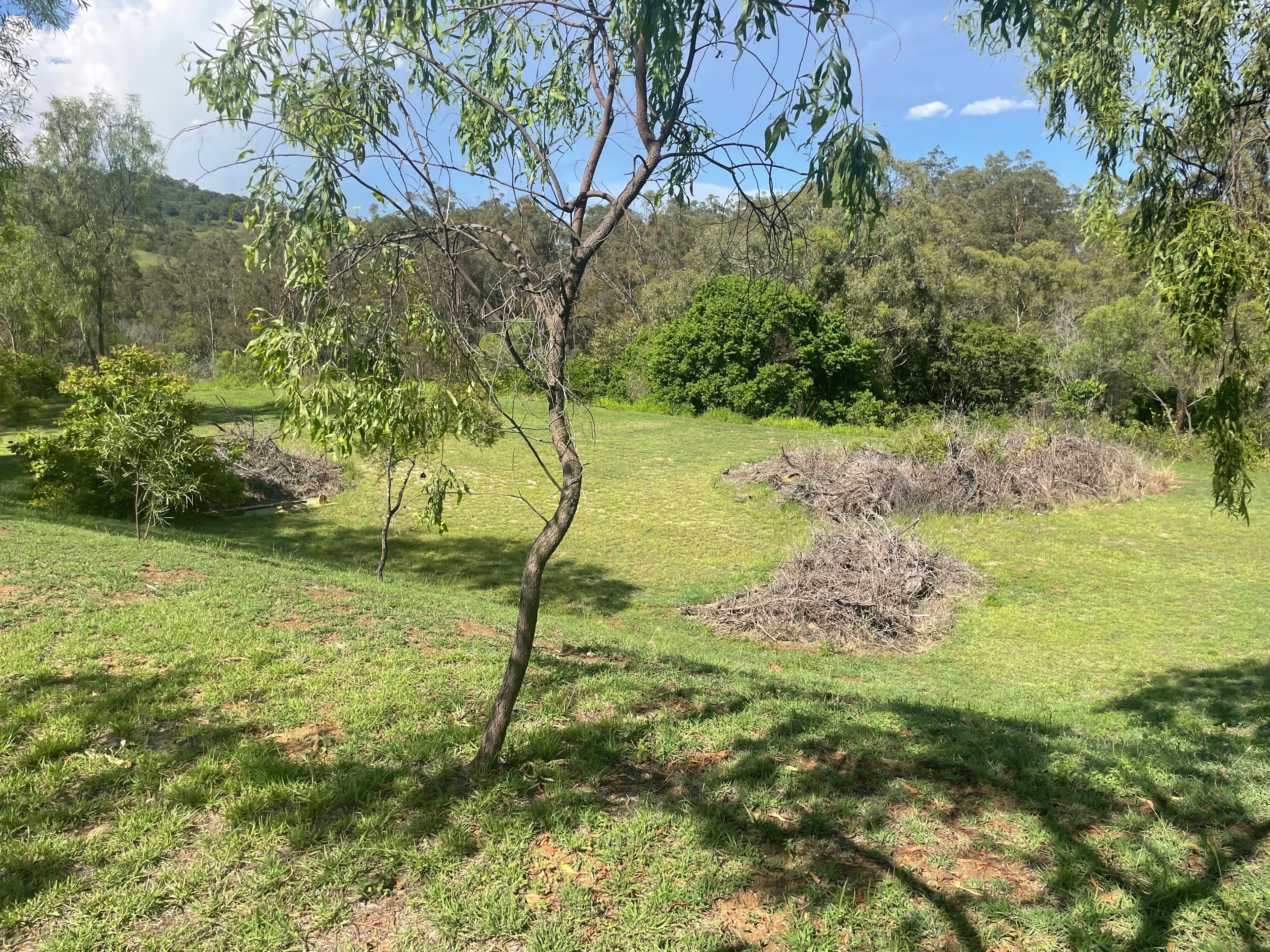 8 BUHSE CT, LAIDLEY QLD 4341, 0 રૂમ, 0 બાથરૂમ, Section