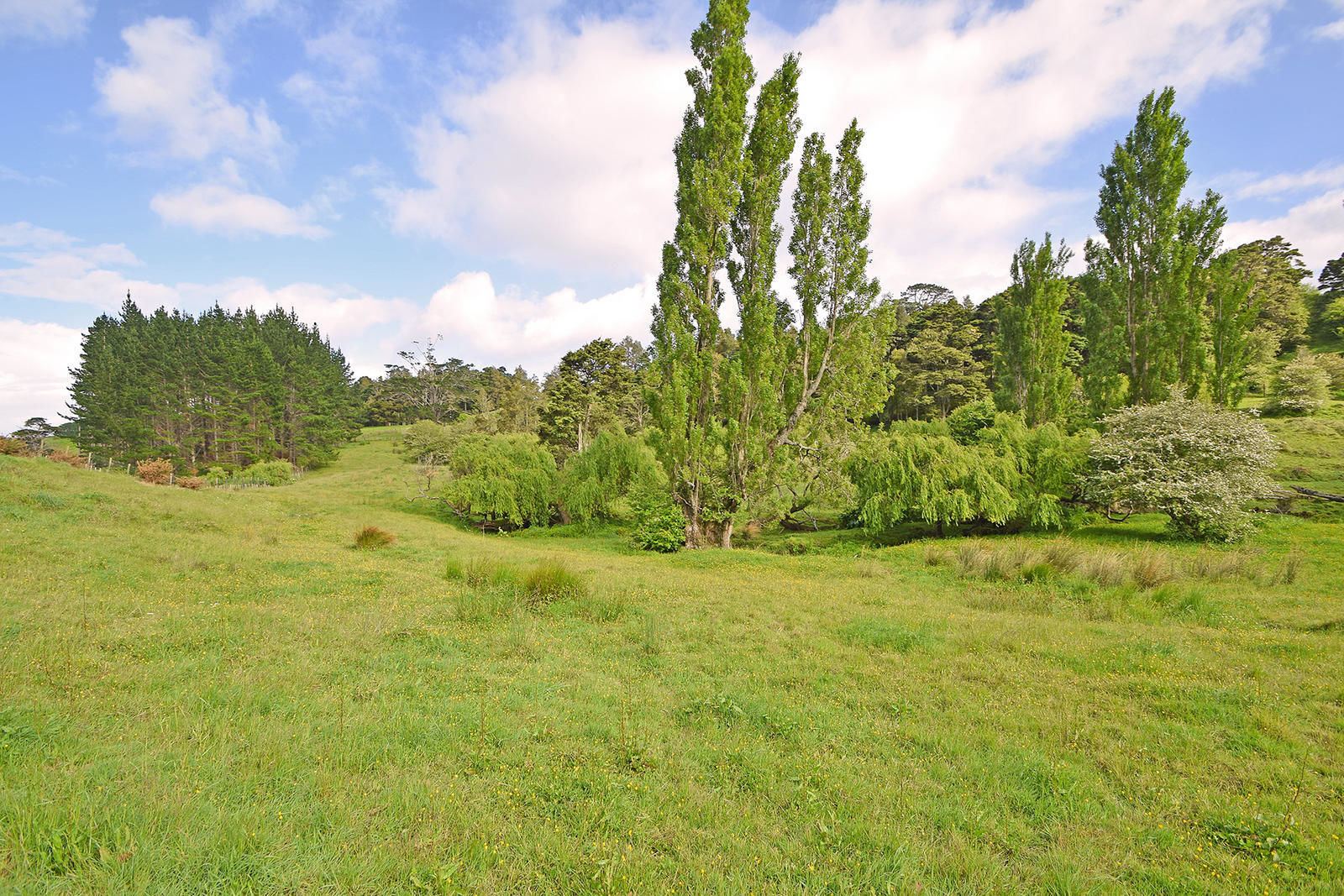 27 Mcgillivray Road, Wellsford, Auckland - Rodney, 0房, 0浴