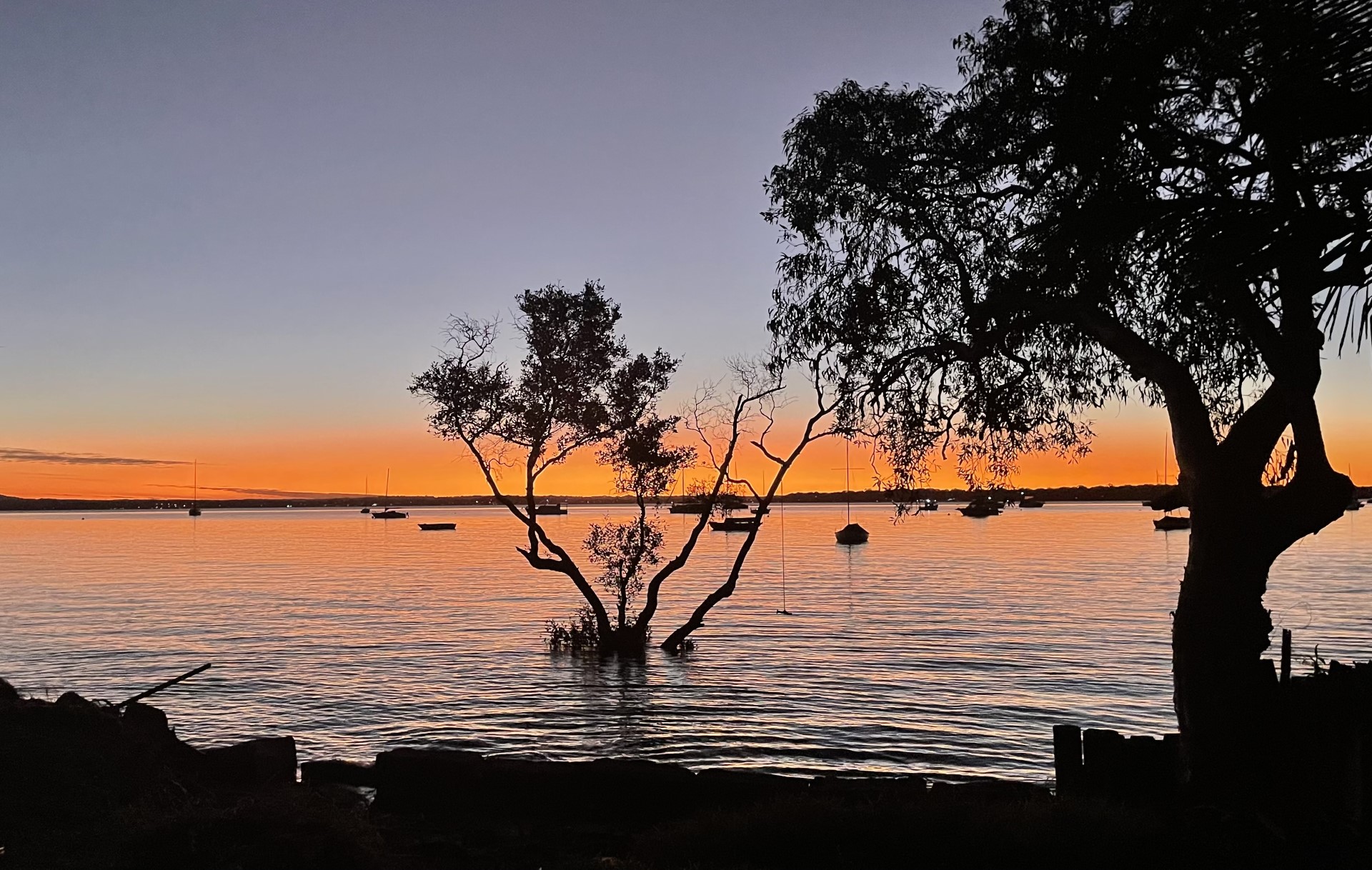 11 COONDOOROOPA DR, MACLEAY ISLAND QLD 4184, 0 rūma, 0 rūma horoi, Section