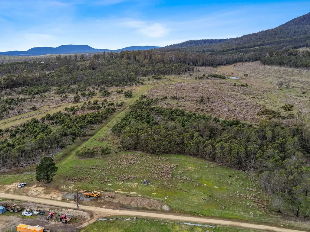 Bicheno Dam, Trees and Pasture