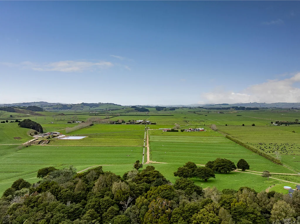 Waiuku Proven performance