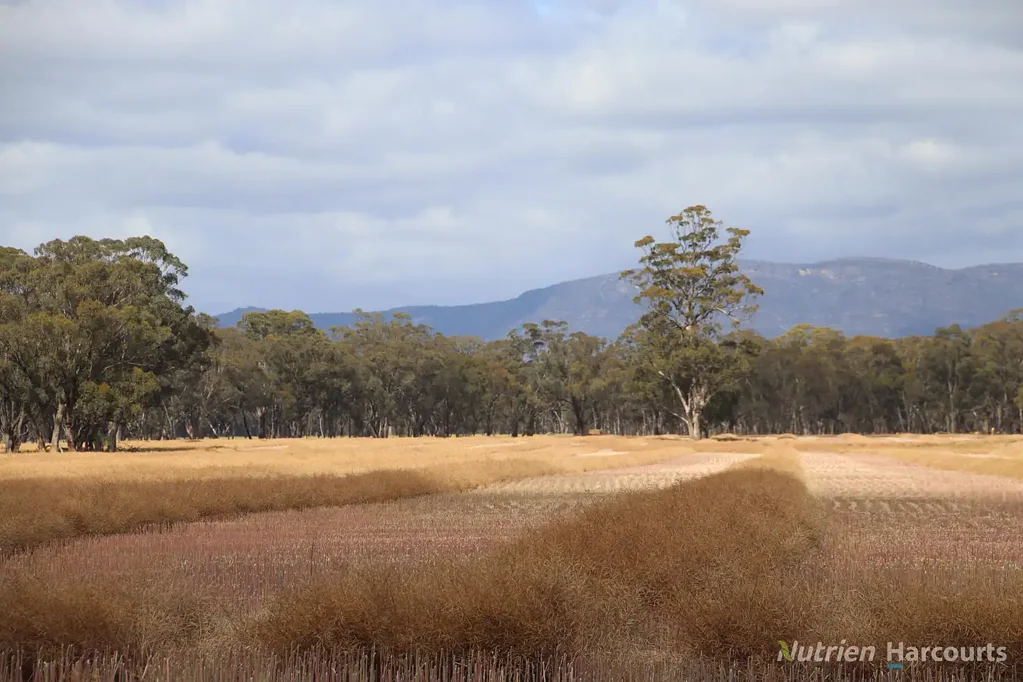 Glenorchy 'Taylors' - Perfect add- on or Lifestyle Proposition - 229 acres (92.74ha)