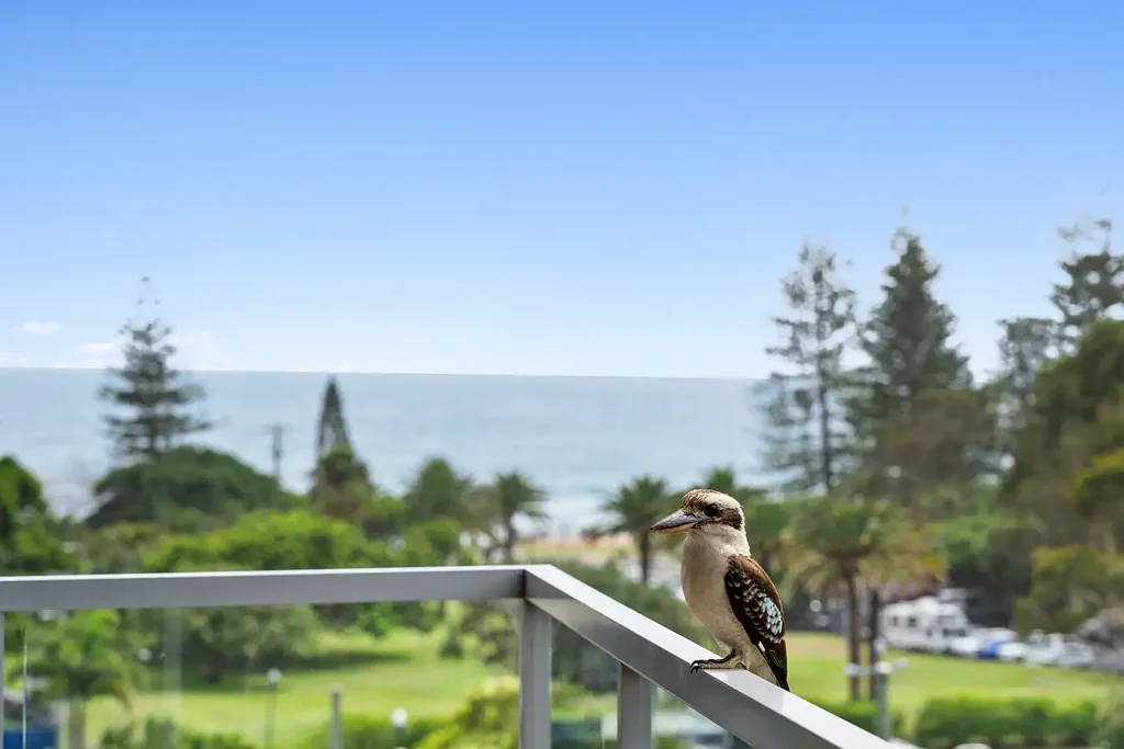 2028/1 Ocean Street, Burleigh Heads, QLD 4220