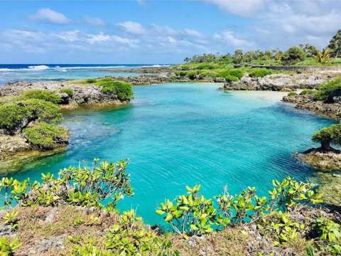 Epsom 3部屋 Vanuatu Opportunity