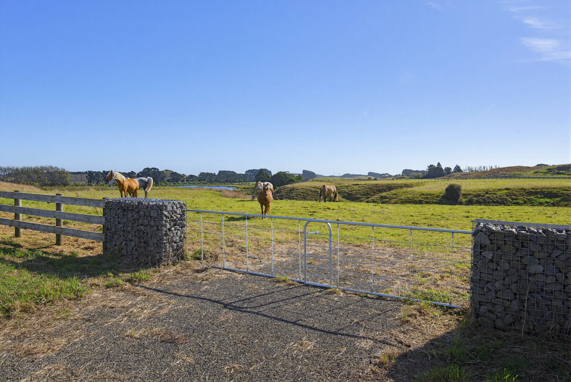 Hokio Beach Waiwiri Springs - Lot 5 - 1.2039ha