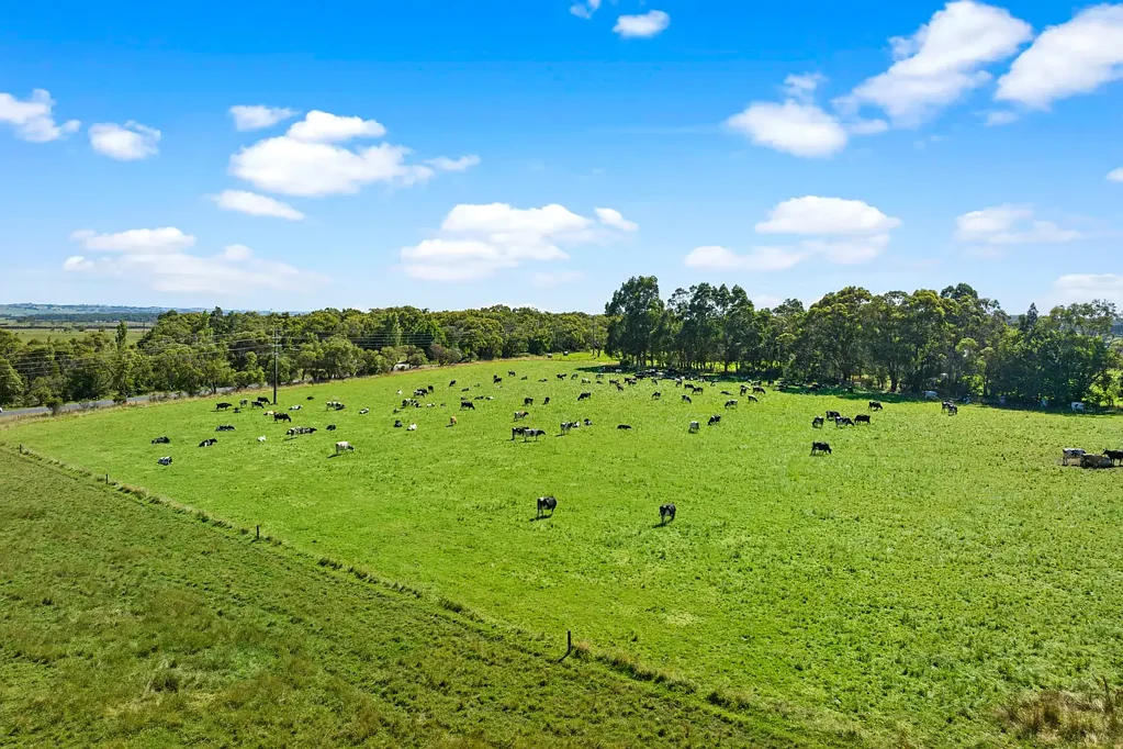 Pound Creek A Rare Opportunity to Secure a Thriving Dairy Farm in Pound Creek