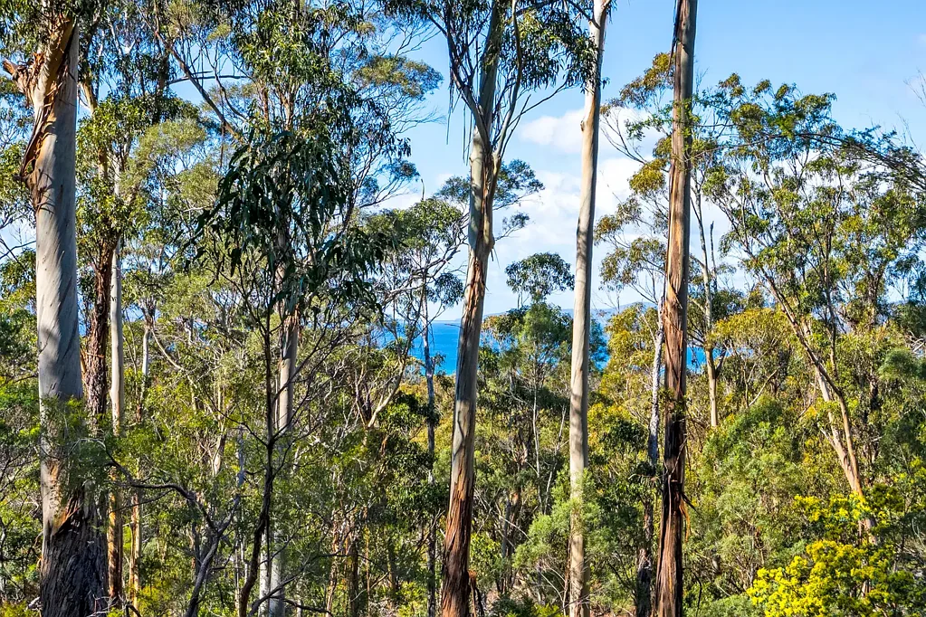 Orford  Bushland Retreat