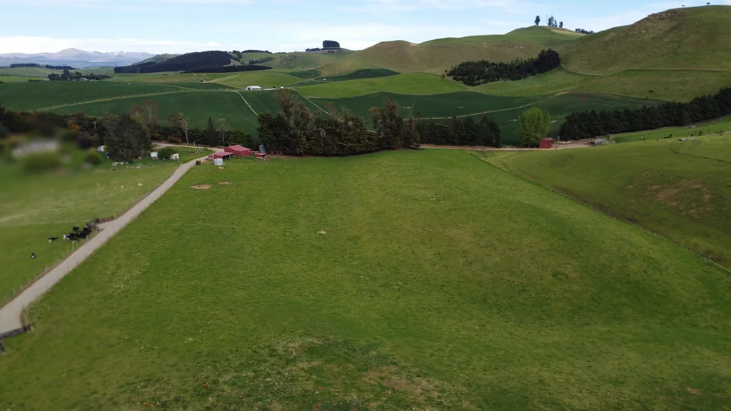 Five Forks and Surrounds Windsor Hills