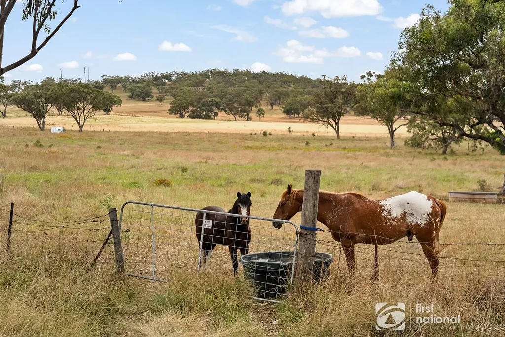 Lot 143 Golden Highway, Cassilis, NSW 2329
