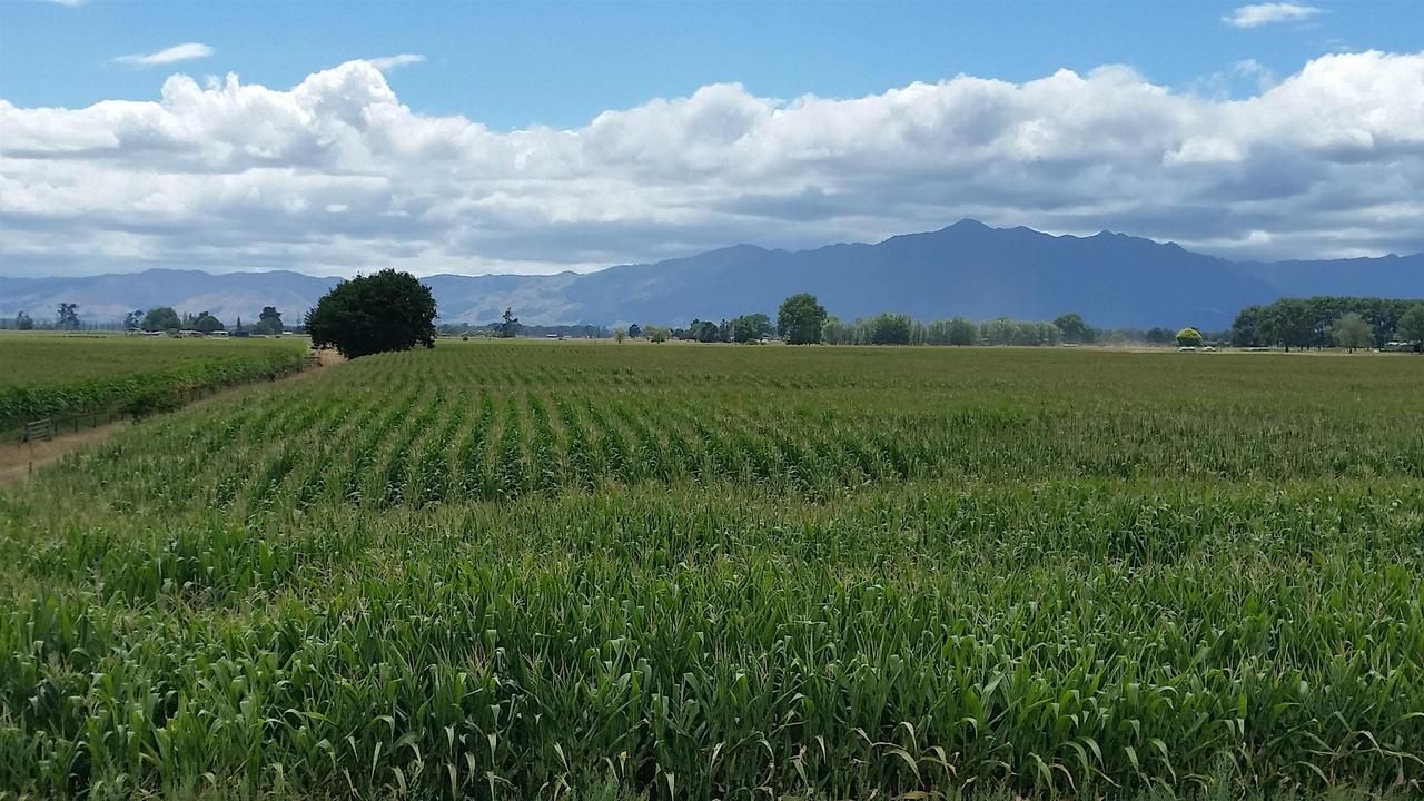 State Highway 27, Morrinsville, Matamata, 0 침실, 1 욕실