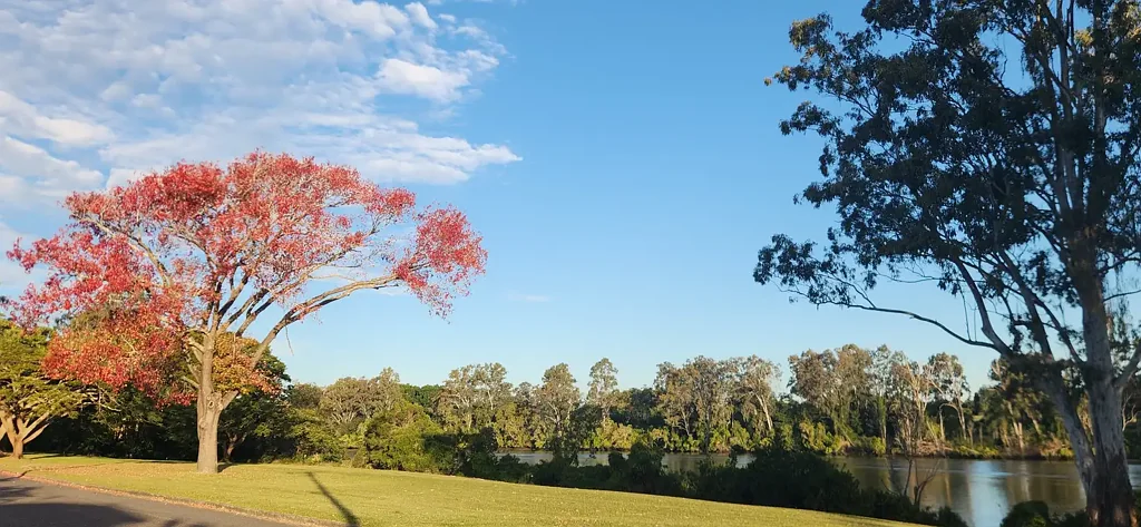 17 Esplanade, Yeronga, QLD 4104