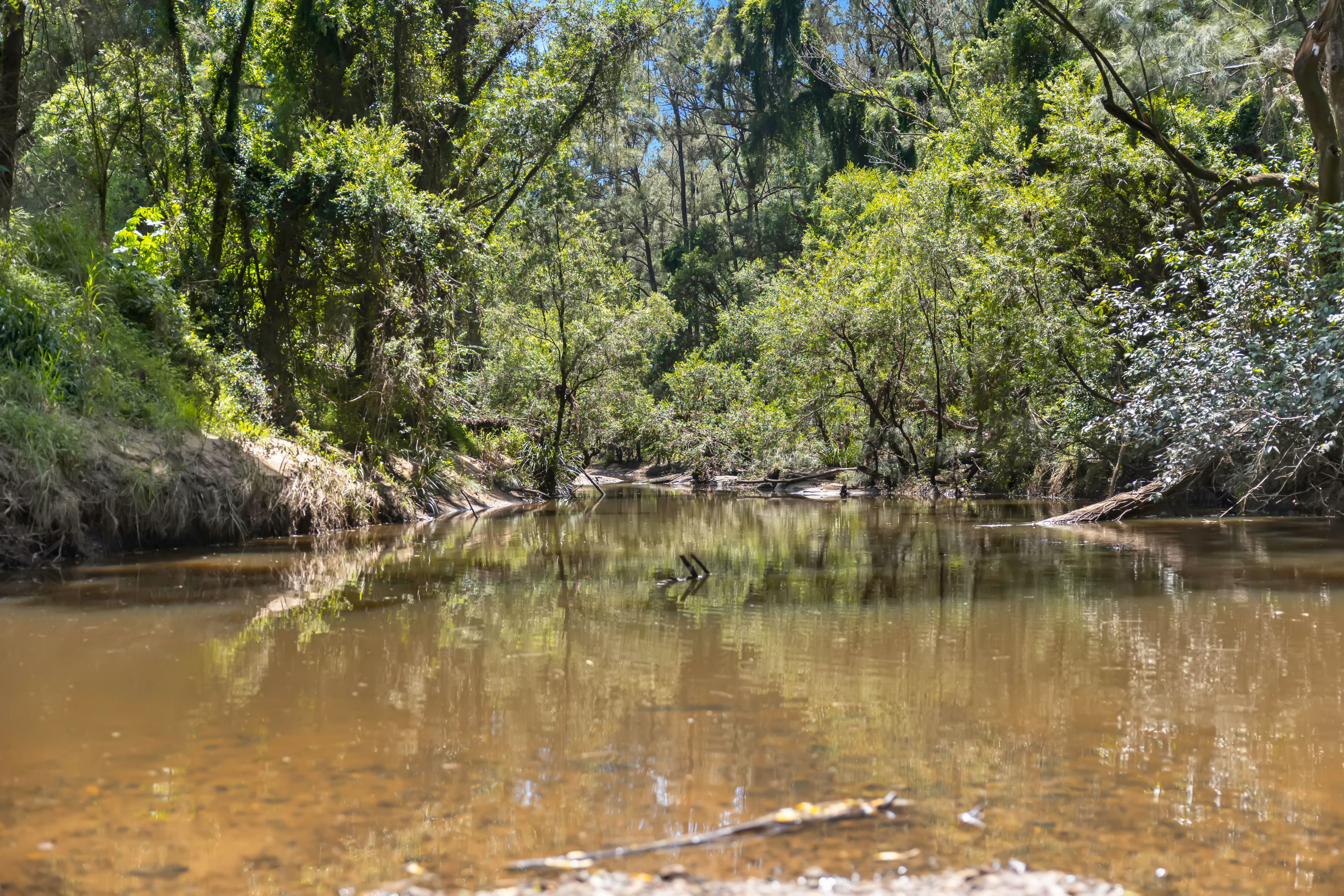 32 WOODENBONG RD, BONALBO NSW 2469, 0 rūma, 0 rūma horoi, Lifestyle Property