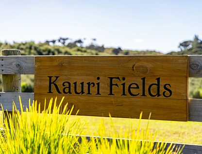 Lot 2 Kauri Fields Way, Mangawhai, Kaipara, 0 Bedrooms, 0 Bathrooms, Lifestyle Section