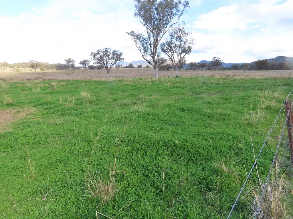 Duri Rural lifestyle in sought after Duri/Gowrie area