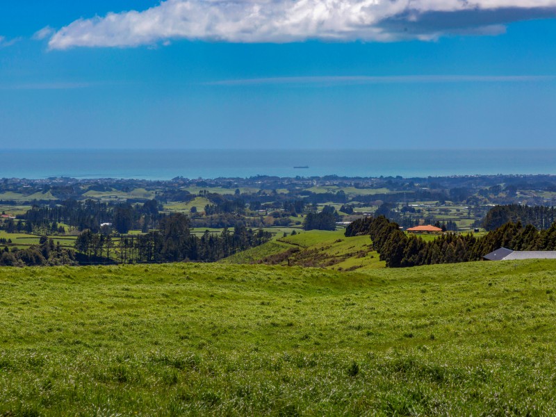 54 Korito Road, Korito, New Plymouth, 52 Kuwarto, 0 Banyo