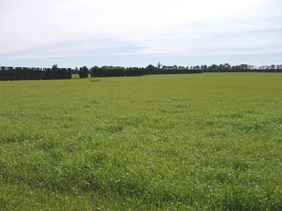 Inner Plains