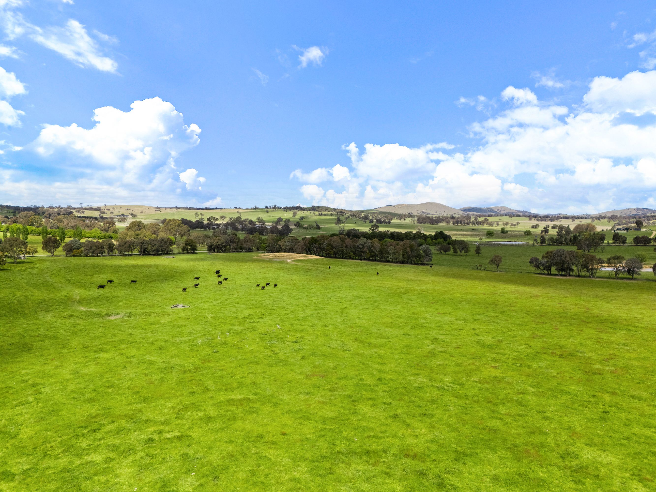 425 GOODA CREEK RD, MURRUMBATEMAN NSW 2582, 0房, 0浴, Section