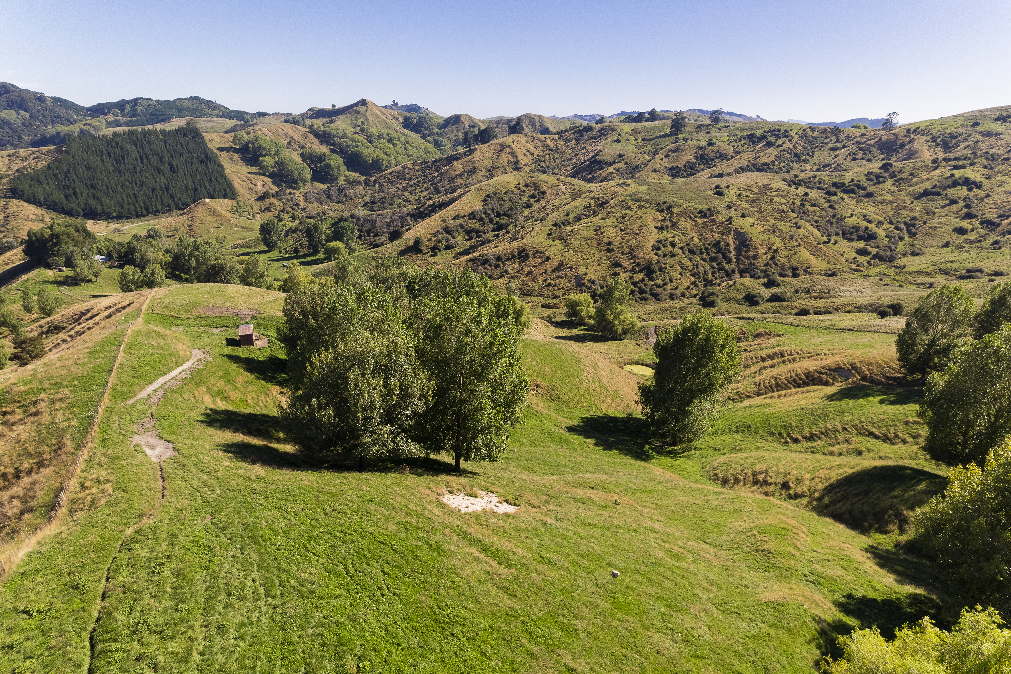 200 Campbell Road, Ngatapa, Gisborne, 0 chambres, 0 salles de bain, Grazing