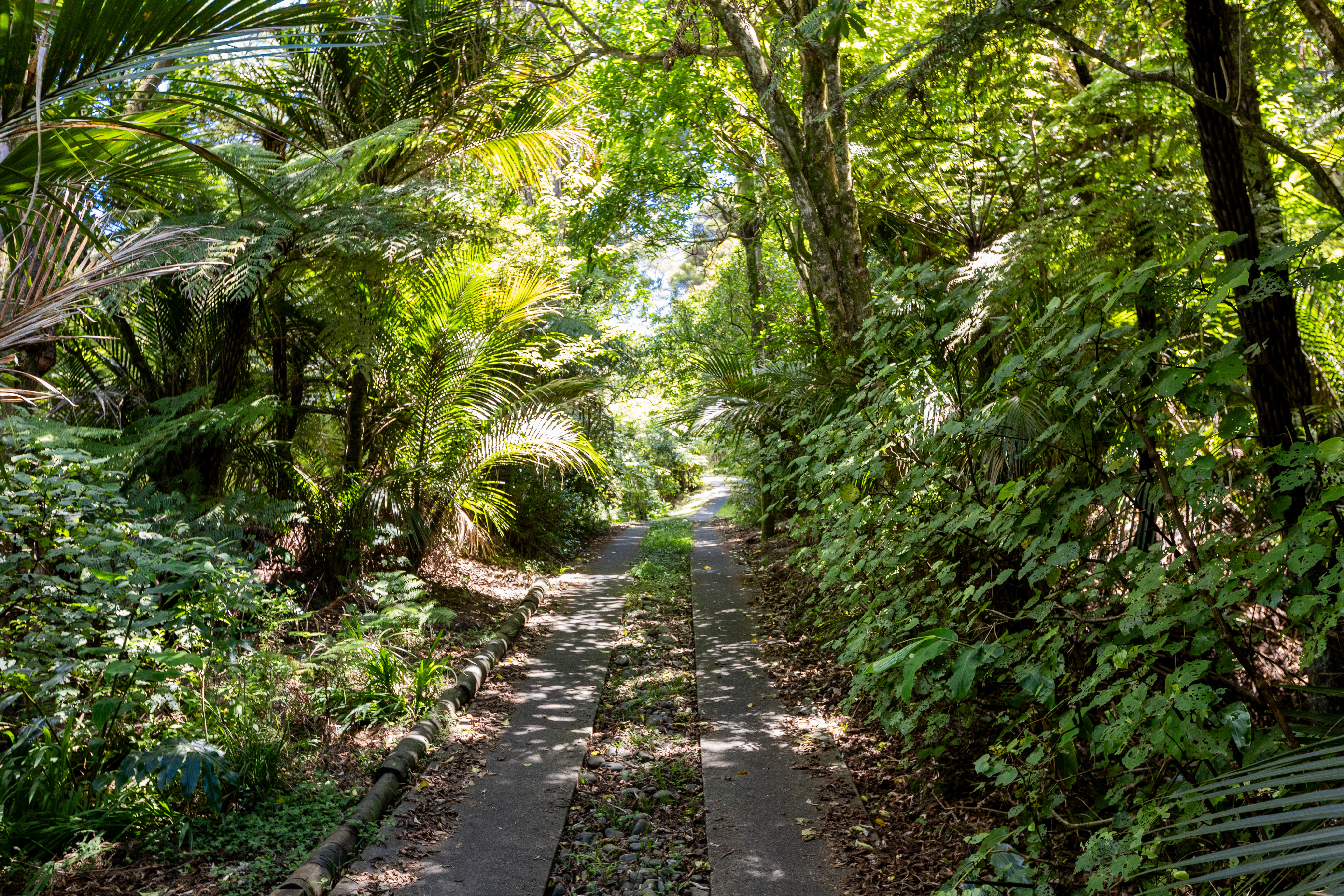 86 Huia Road, Titirangi, Auckland - Waitakere, 0房, 0浴, Section