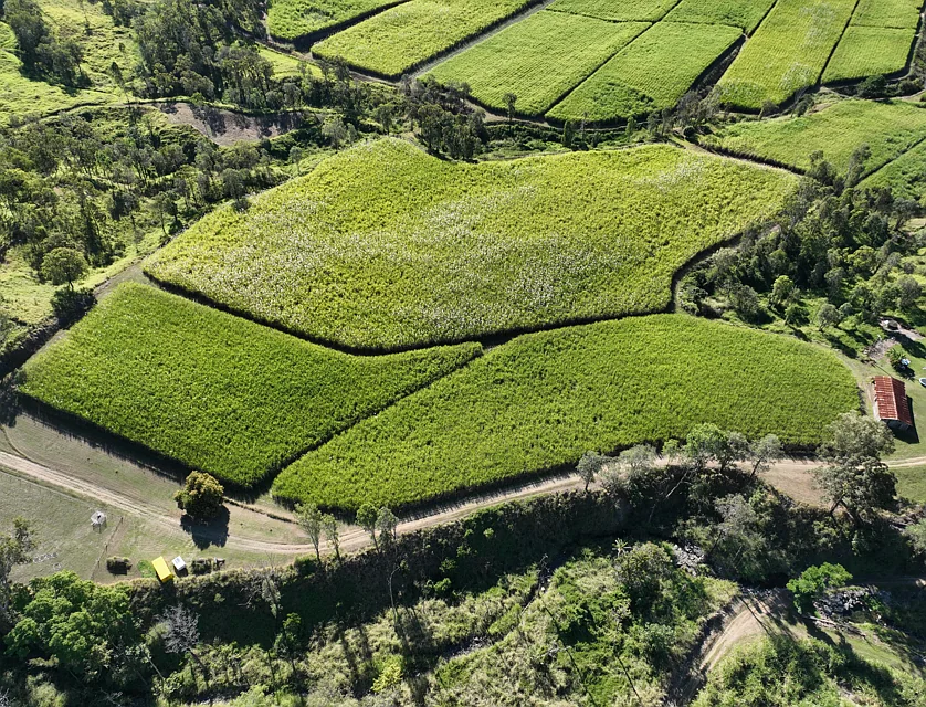 Lot 2 Thornes Road, Finch Hatton, Mackay, 0 habitaciones, 0 baños, Lifestyle Property