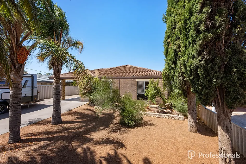 20 Houston Street, Spalding, WA 6530