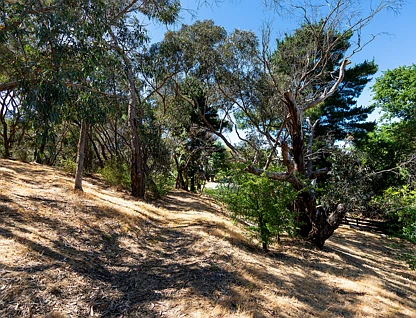 63 Urquhart Street, Castlemaine, Bendigo, 0 Bedrooms, 0 Bathrooms, Section