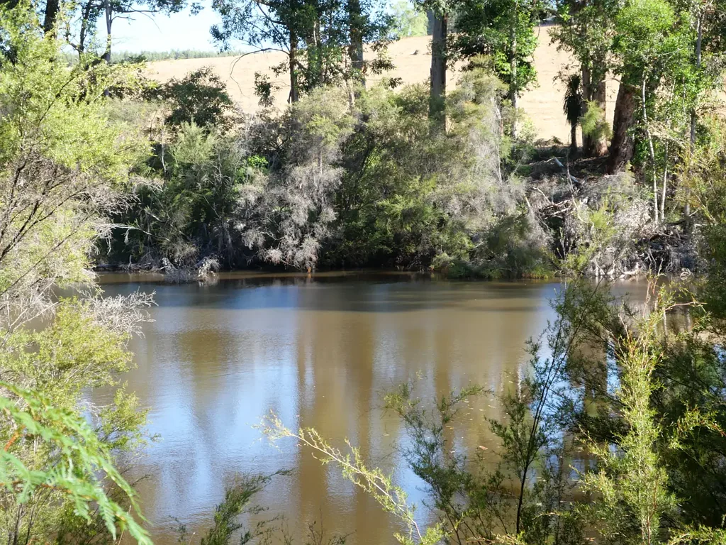 East Nannup A Forest Wonderland