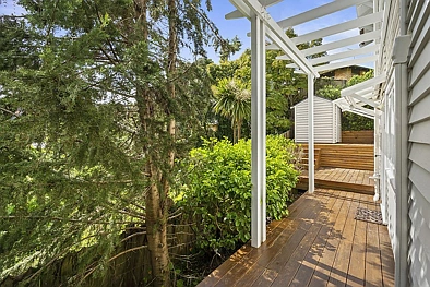 Remuera Studio