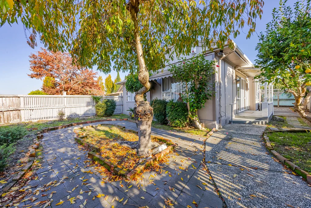 Saint Leonards 3房  Private Delightful 3 Bedder!