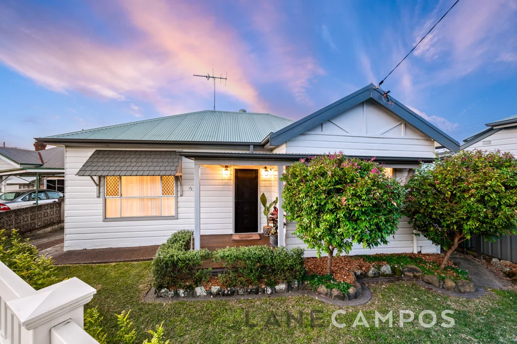 75 Georgetown Road, Georgetown, NSW 2298