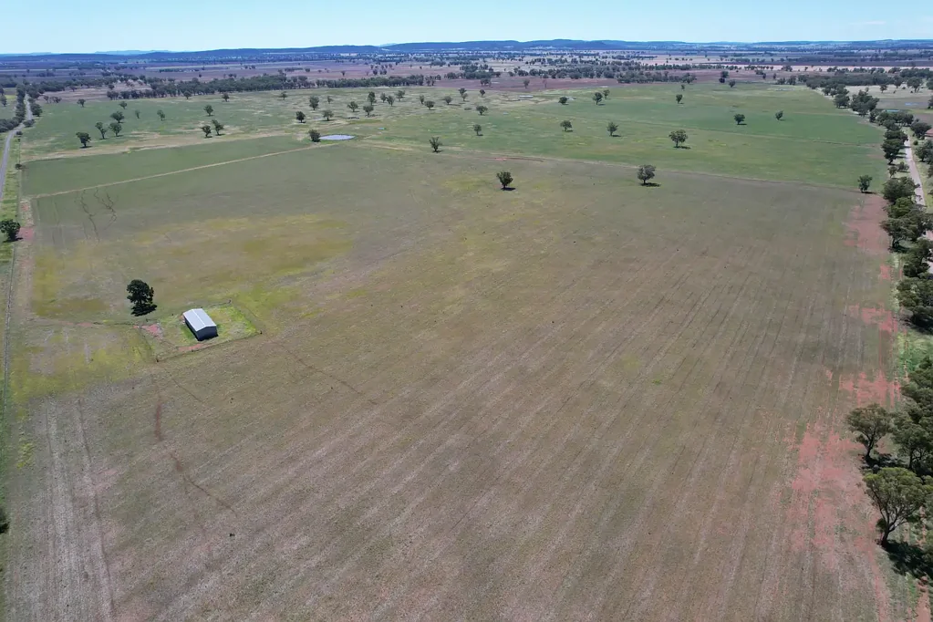 Forbes Build your dream home with elevated views, just minutes from Forbes on 647 ac