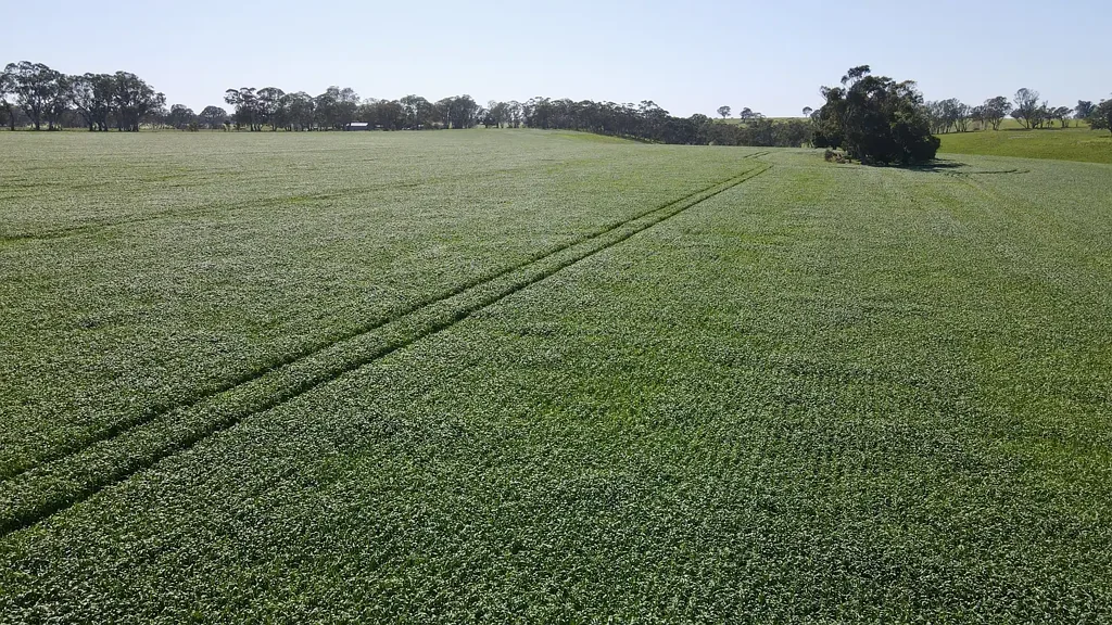 Connewirricoo Versatile and Reliable