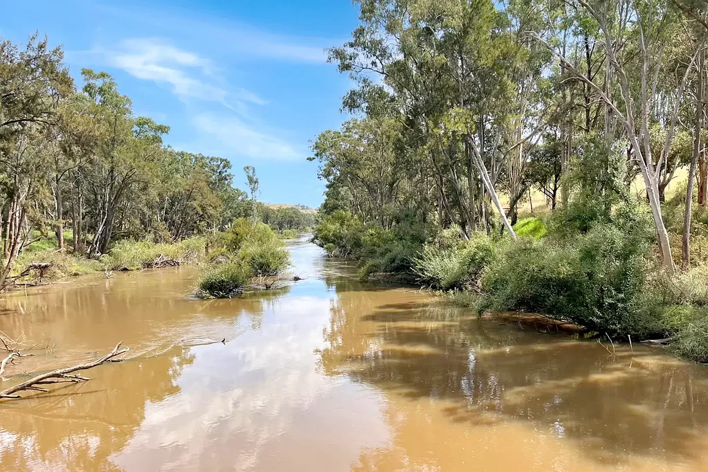 Wyangala 691AC* FAMILY HOME SET ON THE BANK OF THE LACHLAN RIVER!