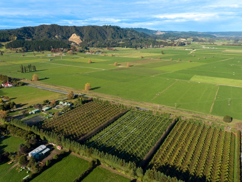 5 Melville Road, Whakatane, Whakatane, 3 rūma, 0 rūma horoi, Horticulture