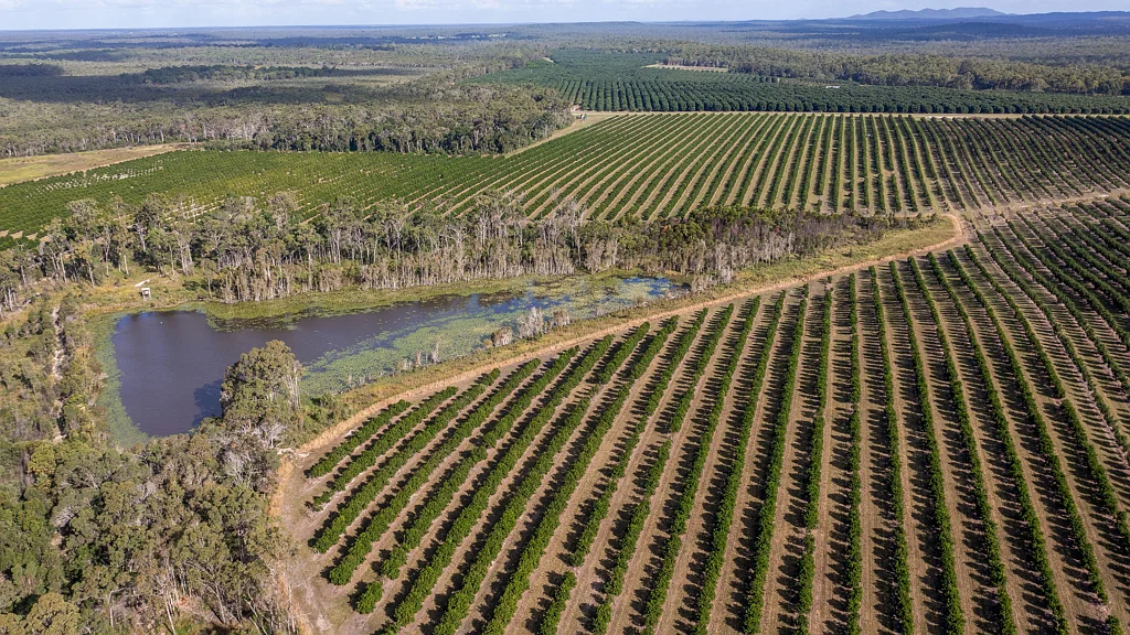 Mullett Creek 'SUNNY BLUFF PRODUCE' HORTICULTURAL PORTFOLIO