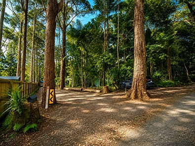 Springbrook Cleared, Connected & Surrounded by Nature