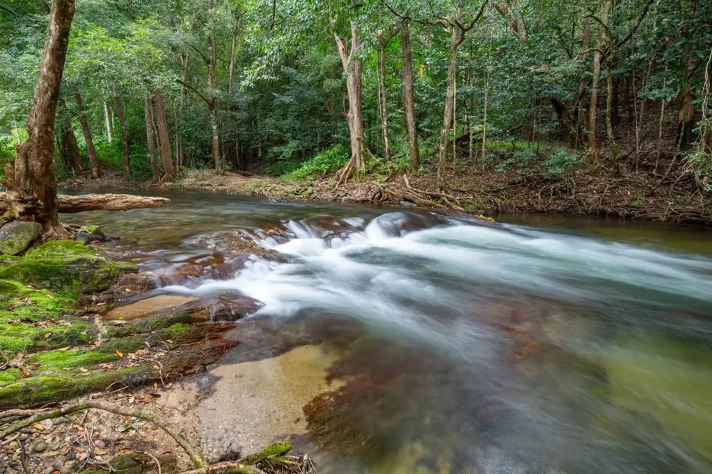 Little Mulgrave 1房  30 Acres of Hidden Riverfront Haven | Off-the-Grid  Lifestyle  Opportunity