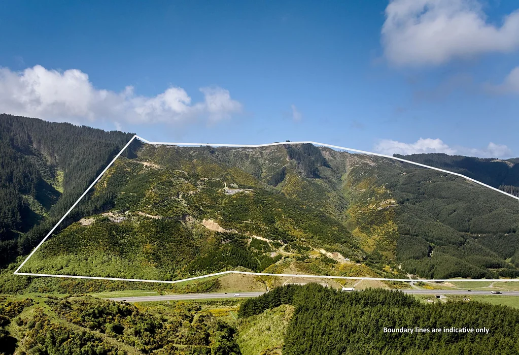 Pauatahanui  Forestry investment, weekend escape