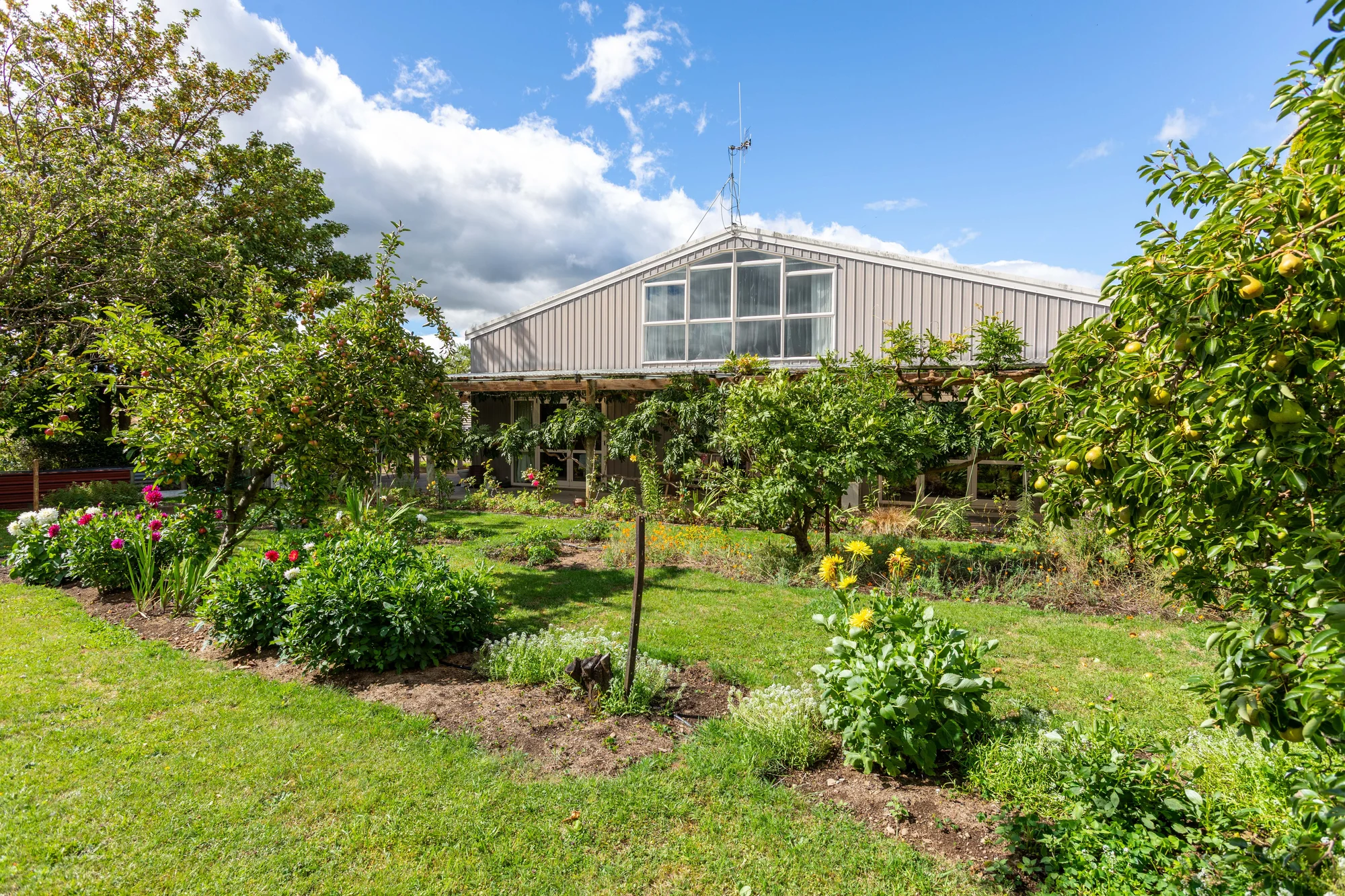 Dannevirke 4Zimmer Big shed, big section, big opportunity