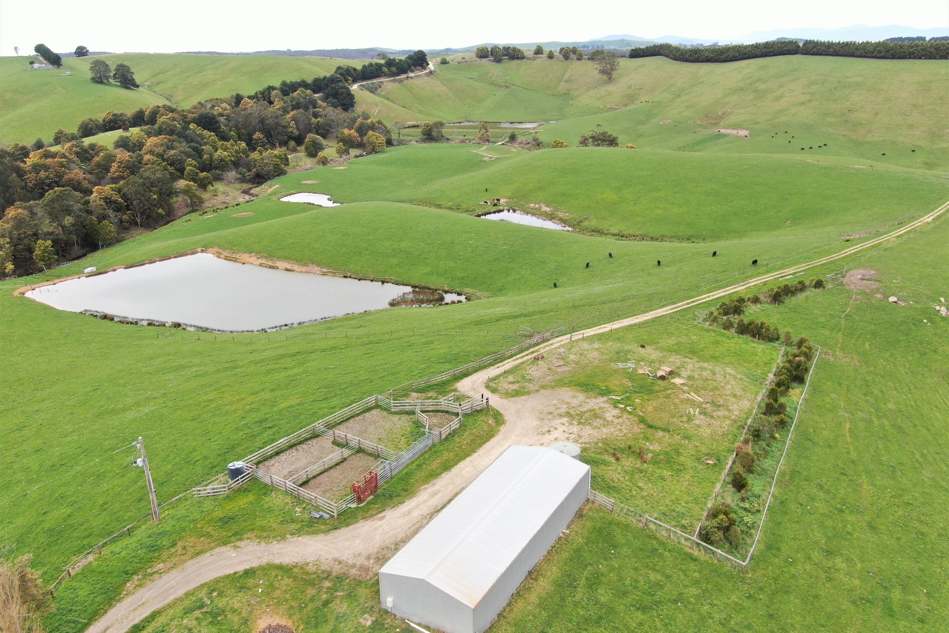 375 DEVILS PINCH RD, WONYIP VIC 3962, 0 rūma, 0 rūma horoi, Lifestyle Property