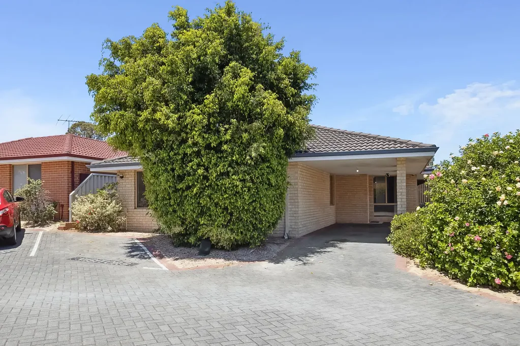 LOW MAINTENANCE 3x1 IN MARANGAROO