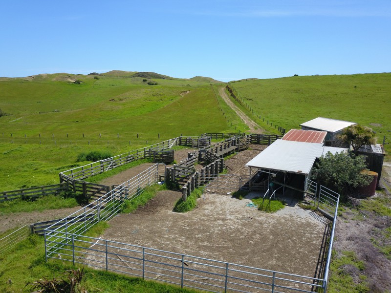 1090 Te Maire Road, Te Kopuru, Kaipara, 4 habitaciones, 1 baños