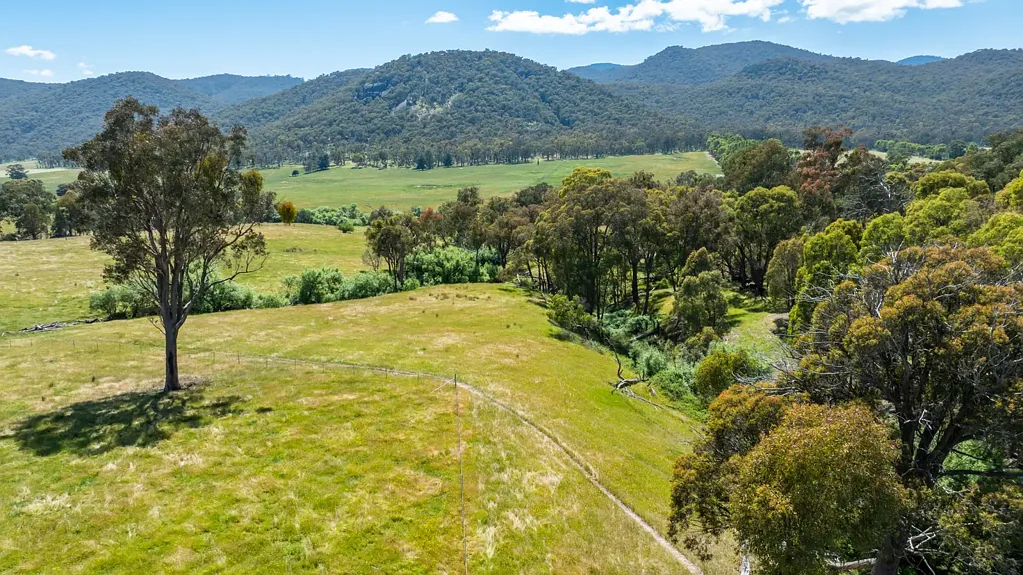 Mudgegonga "Cracka-Jack"