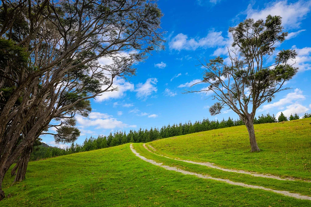 Wellsford  YOUR 94 ACRE FARMING PARADISE!