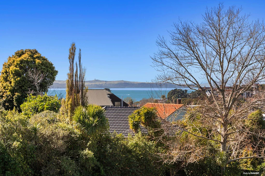 Orakei 2 Bedroom Your Entry-Level Orakei Goldmine