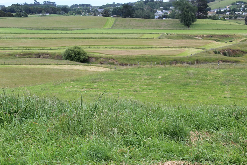 Halcombe  Country lifestyle section
